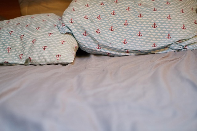 hamvay lang down pillow